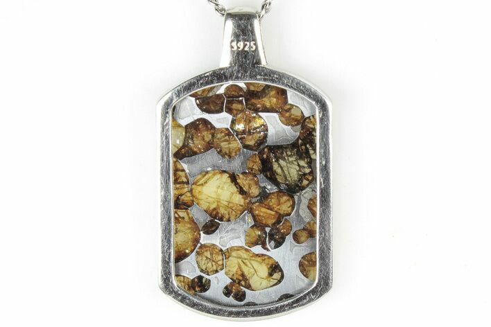 Sericho Pallasite Dog Tag Meteorite Pendant - Kenya #309305